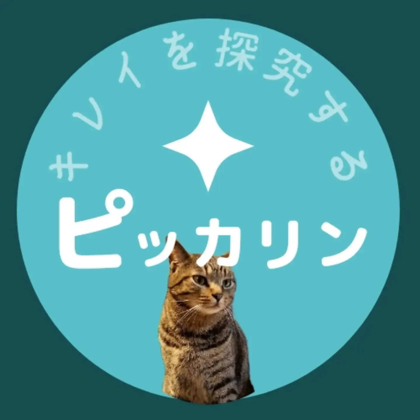 空室クリーニング【中央区】