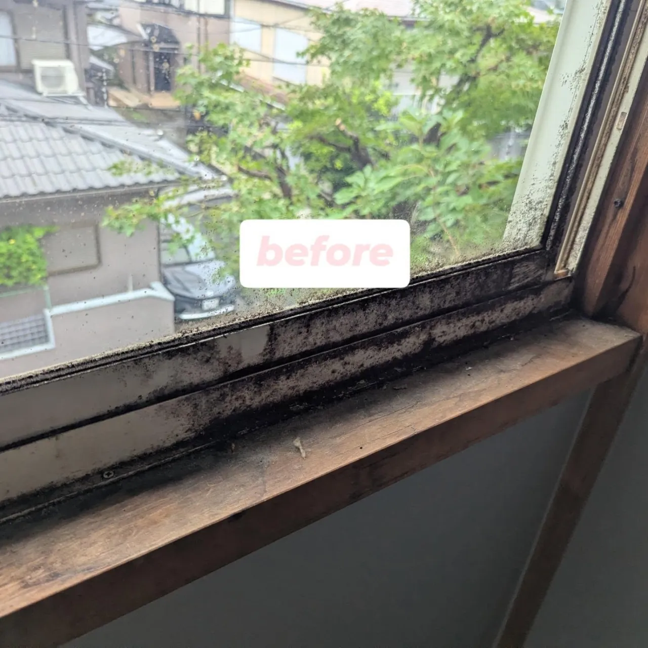 年末大掃除【ハウスクリーニング】